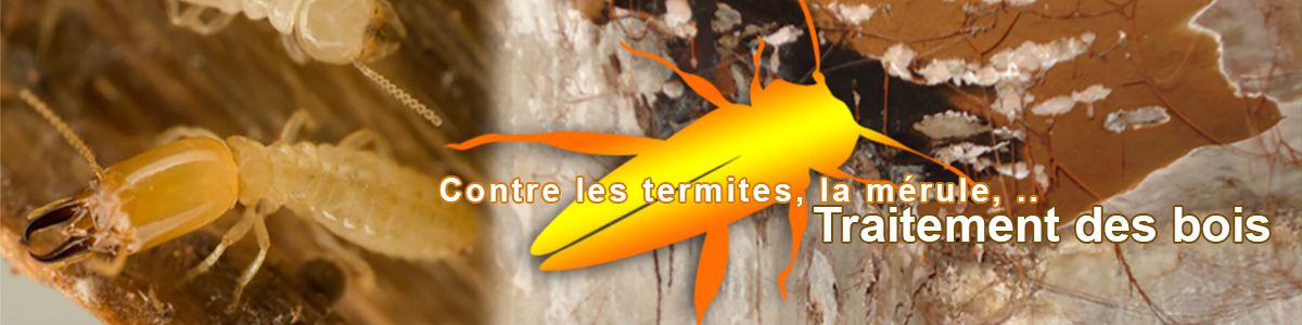 Traitement des charpentes et des bois